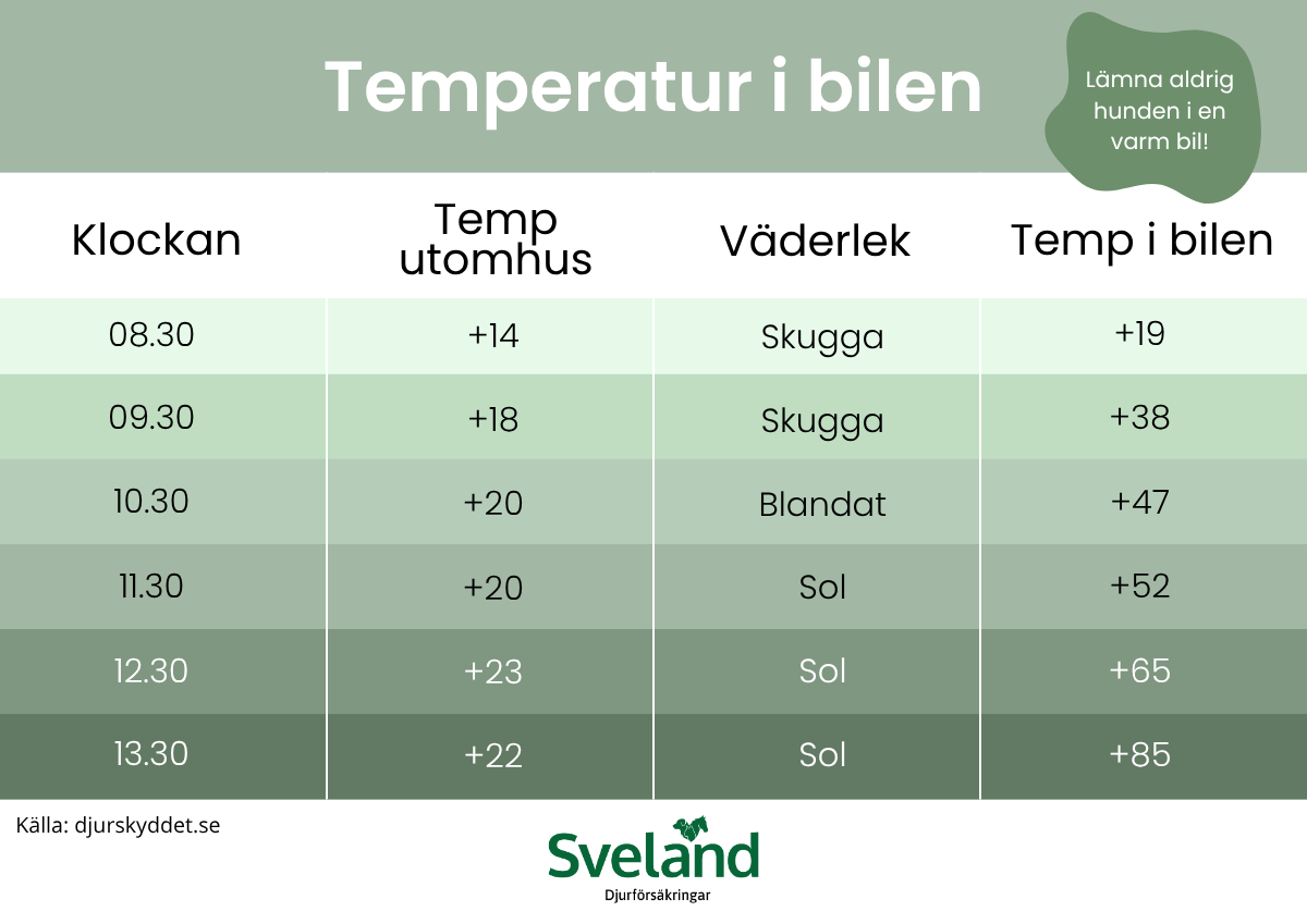 2025svelandtemperatur-i-bilen.png