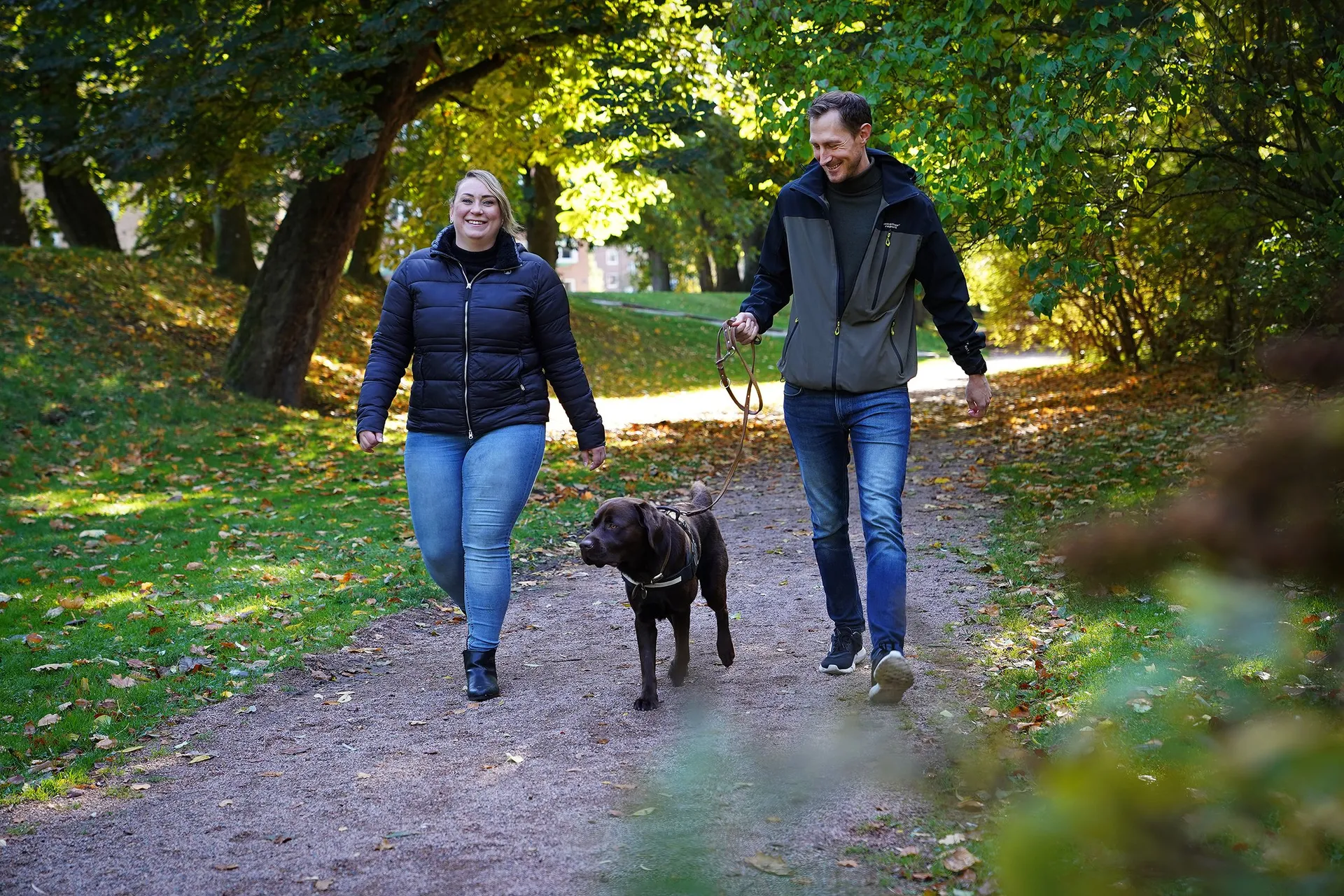 Hundpromenad i skogen under höst med löv på marken