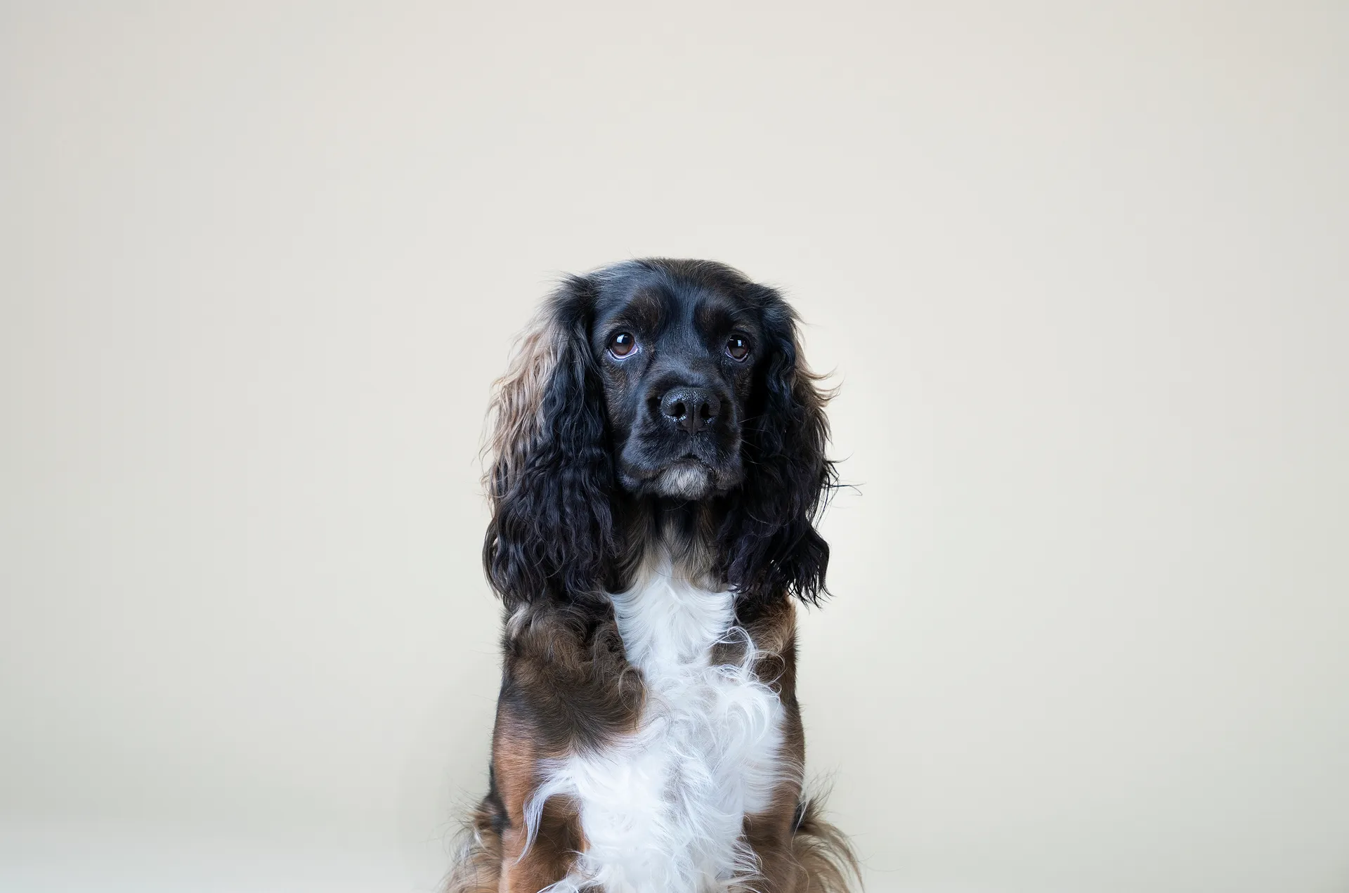 Molly