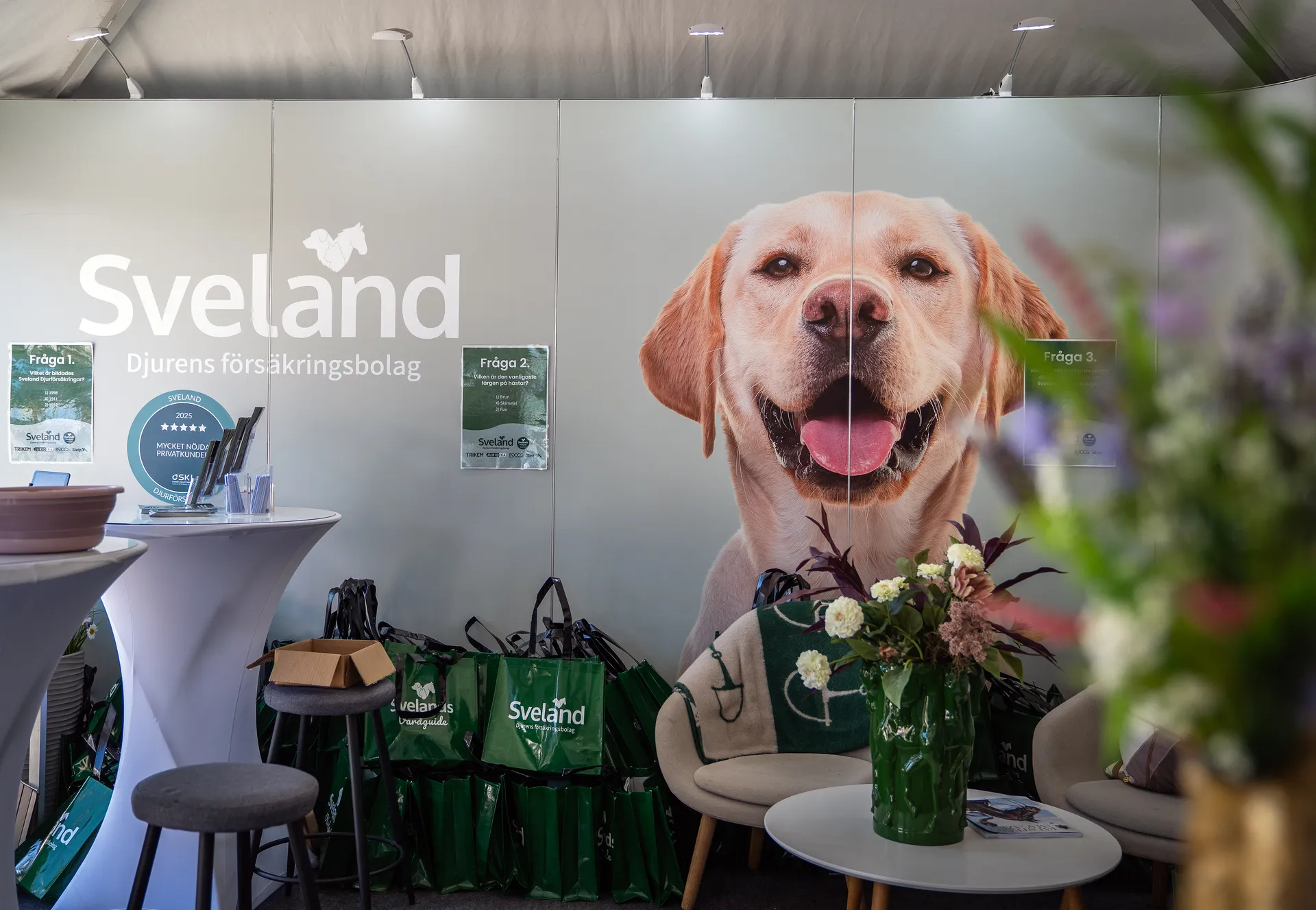 Sveland Monter Hund
