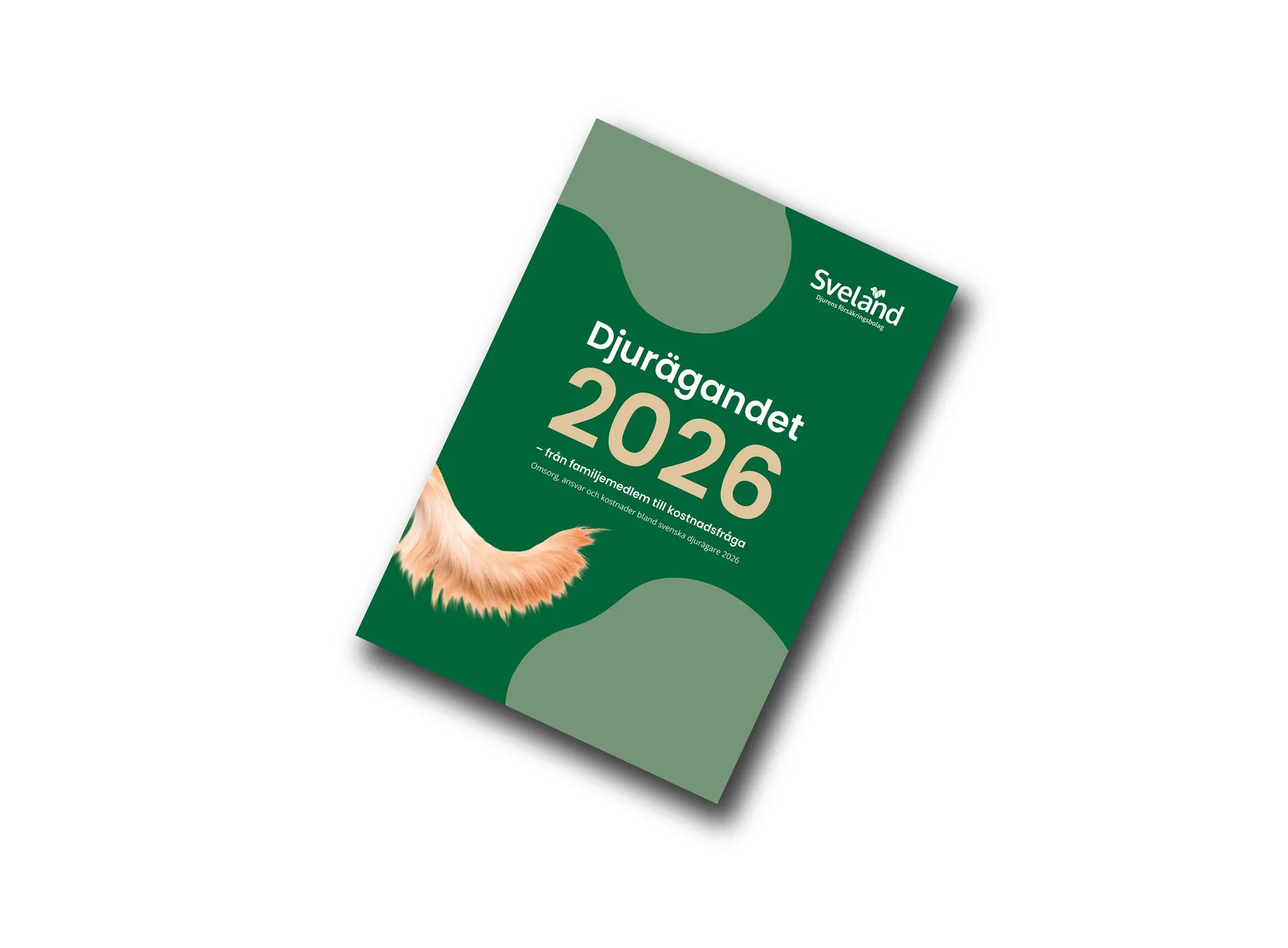 PR Rapport Omslag bild