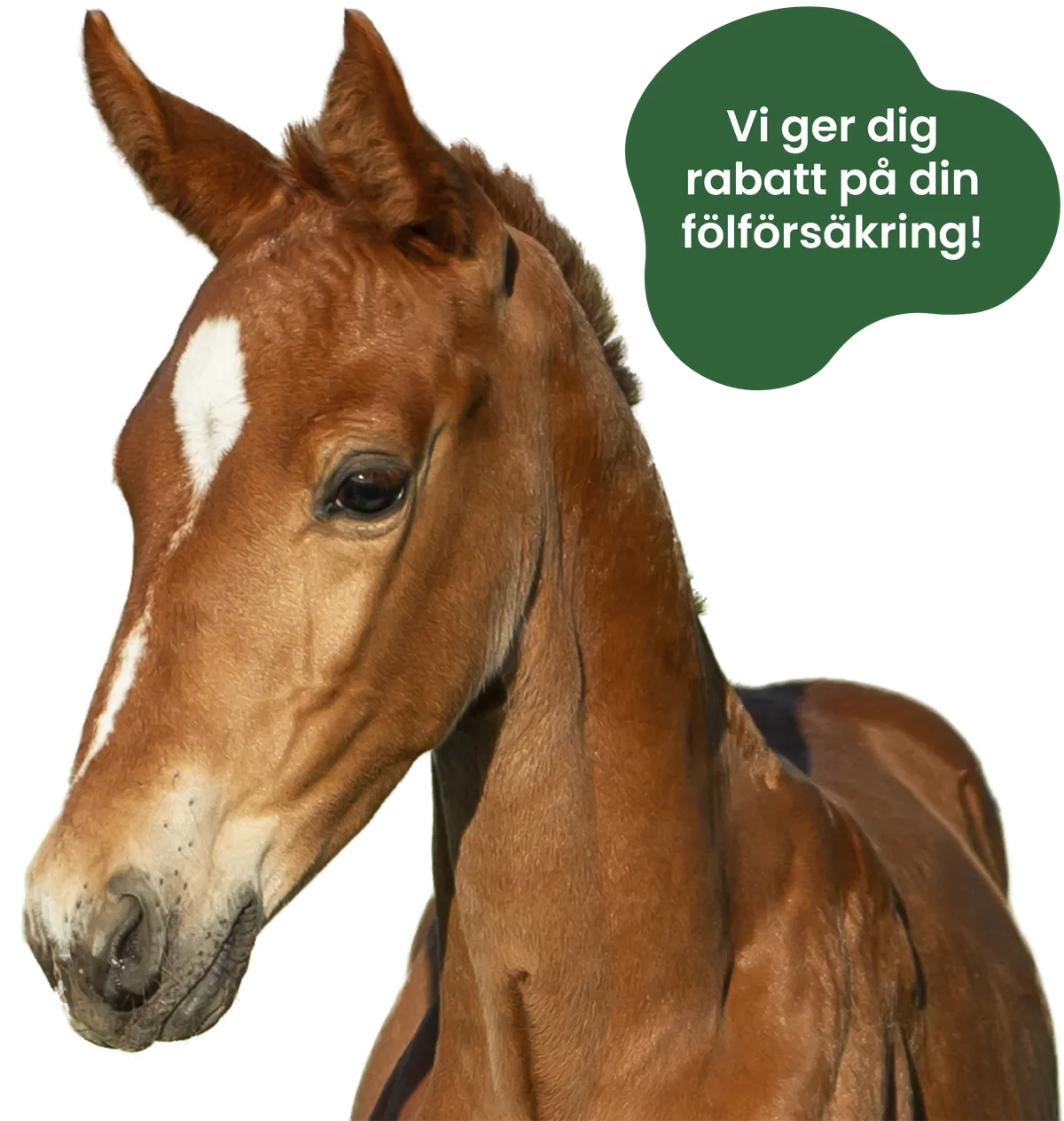 Fölrabatt - Produkt