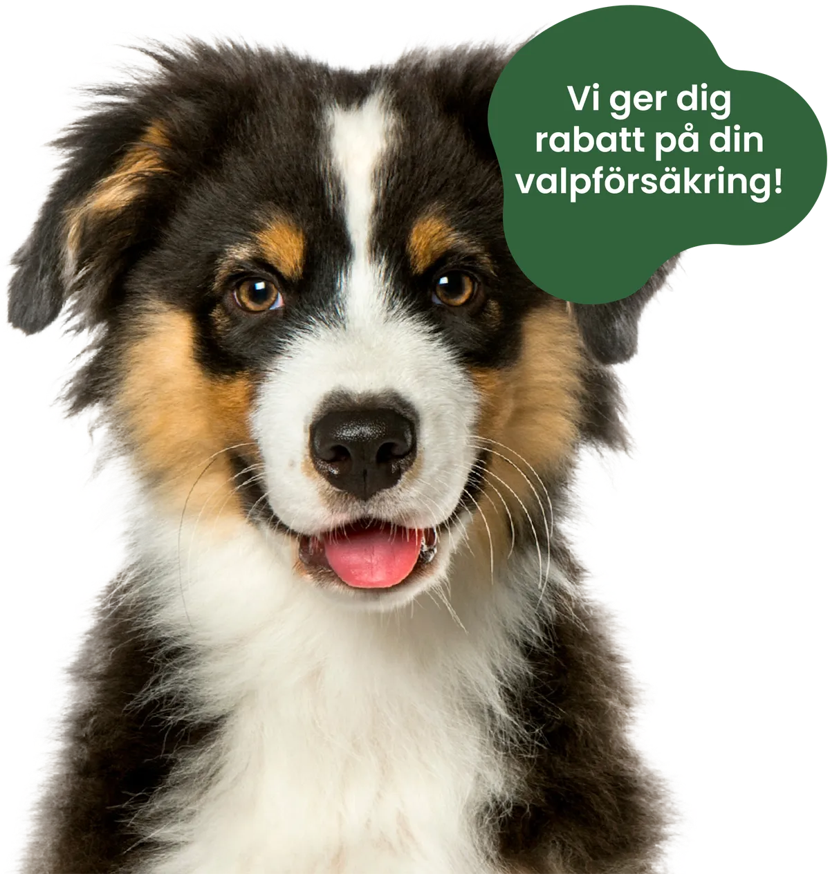Valprabatt - produkt