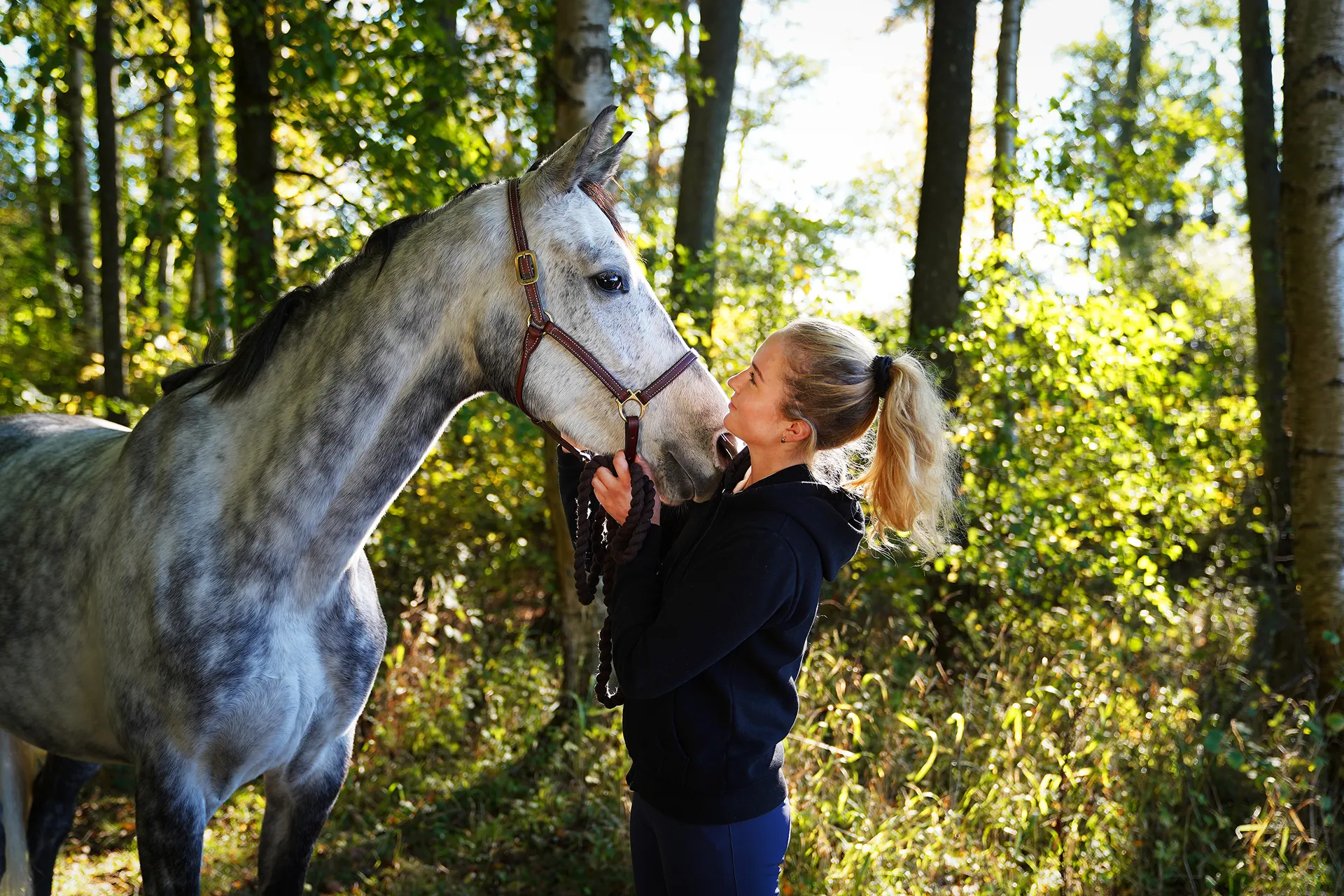 Samarbeten Häst Människa