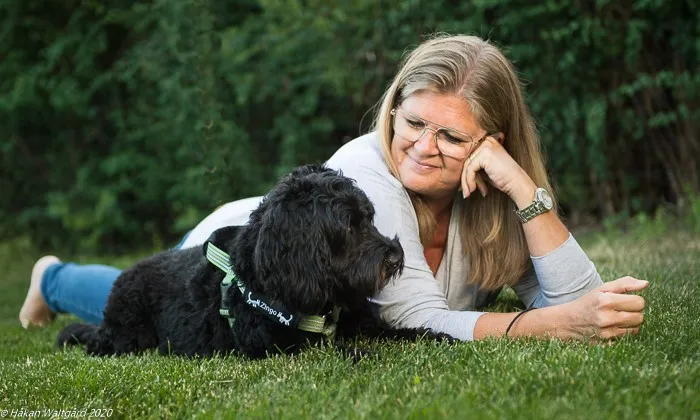 Zingo tjänstehund